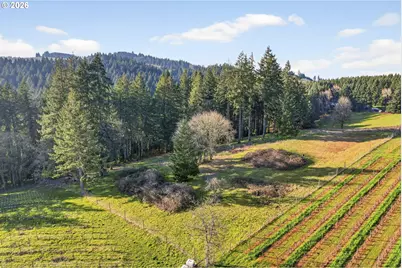 0 NE Fox Ln, Dundee, OR 97115 - Photo 7