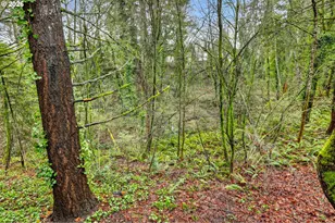 810 E Ninth St, Newberg, OR 97132 - Photo 37