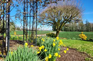 6884 S Hansen Ln, Aurora, OR 97002 - Photo 3