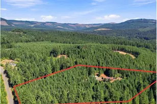 94671 Johnson Rd, Marcola, OR 97454 - Photo 3