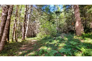 94671 Johnson Rd, Marcola, OR 97454 - Photo 25