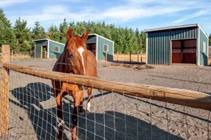 37658 S Hwy 213, Mt. Angel, OR 97362 - Photo 13