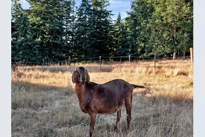 37658 S Highway 213, Mt. Angel, OR 97362 - Photo 43