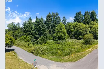0 8th St, Vader, WA 98593 - Photo 7