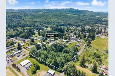 0 8th St, Vader, WA 98593 - Photo 9