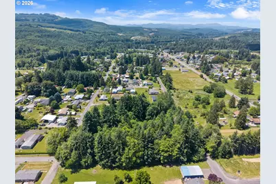 0 8th St, Vader, WA 98593 - Photo 3