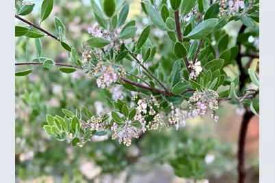 381 Marion Ln, Eugene, OR 97404 - Photo 35