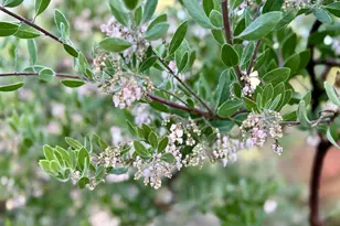 381 Marion Ln, Eugene, OR 97404 - Photo 35