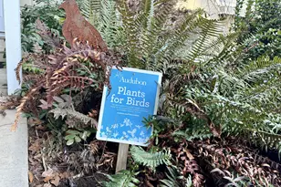 381 Marion Ln, Eugene, OR 97404 - Photo 37