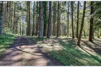 22813 NE 28th St, Camas, WA 98607 - Photo 23