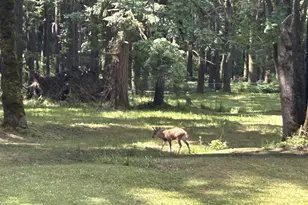 22813 NE 28th St, Camas, WA 98607 - Photo 29