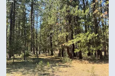 Whitetail Ln #Lot 3, Bonanza, OR 97623 - Photo 27