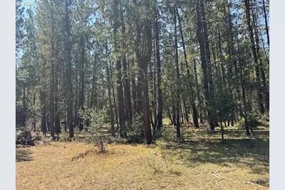Whitetail Ln #Lot 3, Bonanza, OR 97623 - Photo 21