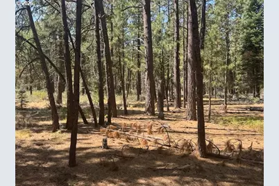 Whitetail Ln #Lot 3, Bonanza, OR 97623 - Photo 13