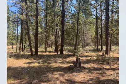 Whitetail Ln #Lot 3, Bonanza, OR 97623 - Photo 19