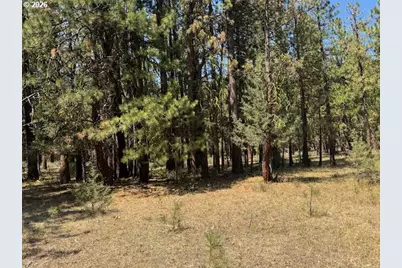 Whitetail Ln #Lot 3, Bonanza, OR 97623 - Photo 1