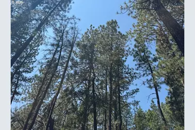 Whitetail Ln #Lot 3, Bonanza, OR 97623 - Photo 5