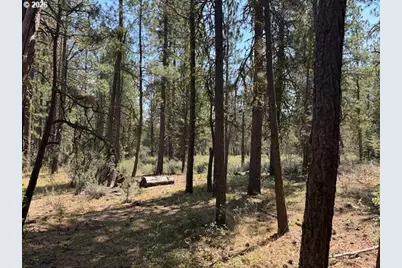 Whitetail Ln #Lot 3, Bonanza, OR 97623 - Photo 23