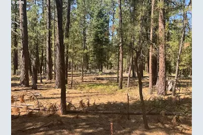 Whitetail Ln #Lot 3, Bonanza, OR 97623 - Photo 17