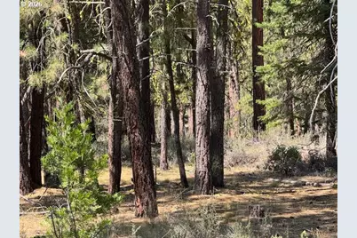 Whitetail Ln #Lot 3, Bonanza, OR 97623 - Photo 25