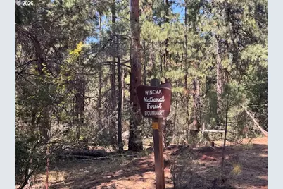 Whitetail Ln #Lot 3, Bonanza, OR 97623 - Photo 15