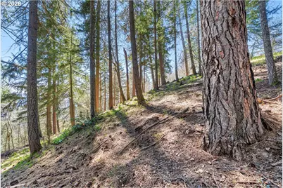 735 NW Strawberry Mountain Rd, White Salmon, WA 98672 - Photo 19