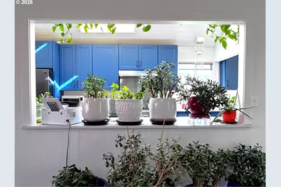 97935 Holly Ln, Brookings, OR 97415 - Photo 25