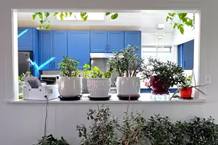 97935 Holly Ln, Brookings, OR 97415 - Photo 25