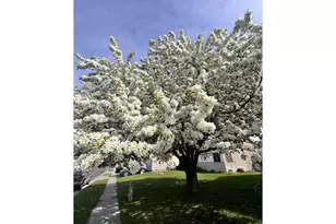 188 NE 11th St, Hermiston, OR 97838 - Photo 39