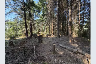 Clear Lake Rd, Florence, OR 97439 - Photo 15