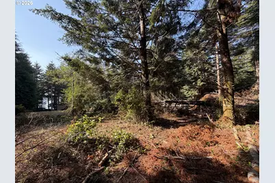 Clear Lake Rd, Florence, OR 97439 - Photo 21