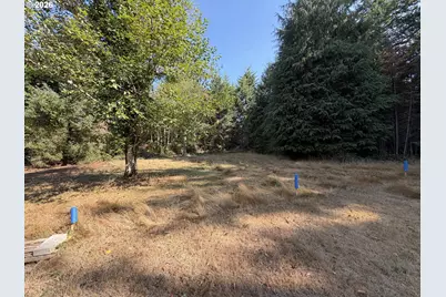 Clear Lake Rd, Florence, OR 97439 - Photo 29