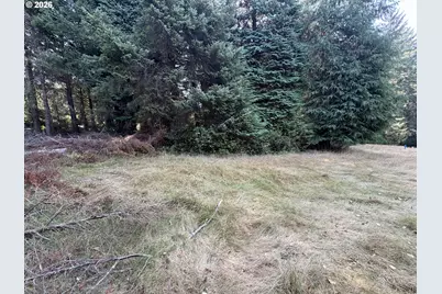 Clear Lake Rd, Florence, OR 97439 - Photo 23