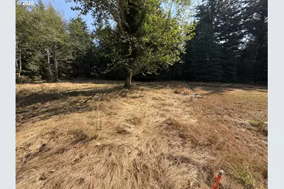 Clear Lake Rd, Florence, OR 97439 - Photo 31