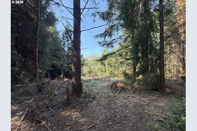 Clear Lake Rd, Florence, OR 97439 - Photo 11