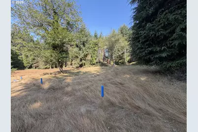 Clear Lake Rd, Florence, OR 97439 - Photo 35