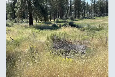 S. Chiloquin Road #100, Chiloquin, OR 97624 - Photo 5