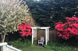 830 Division St SE, Bandon, OR 97411 - Photo 5