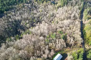 66743 Doetsch Rd, Deer Island, OR 97054 - Photo 39