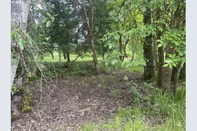 38102 Queens Rd, Marcola, OR 97454 - Photo 41