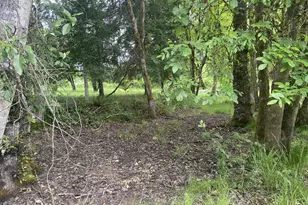 38102 Queens Rd, Marcola, OR 97454 - Photo 41