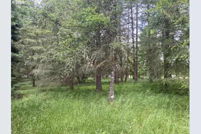 38102 Queens Rd, Marcola, OR 97454 - Photo 39