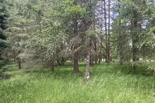 38102 Queens Rd, Marcola, OR 97454 - Photo 39