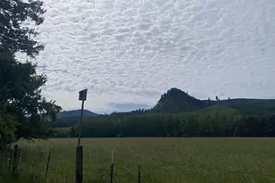 38102 Queens Rd, Marcola, OR 97454 - Photo 35