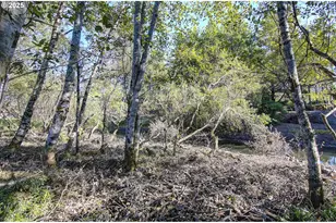 29908 H St, Ocean Park, WA 98640 - Photo 7