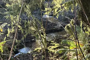 700 Sutton Creek Rd, Tillamook, OR 97141 - Photo 47