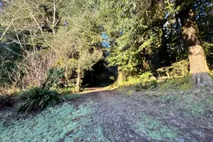 700 Sutton Creek Rd, Tillamook, OR 97141 - Photo 41