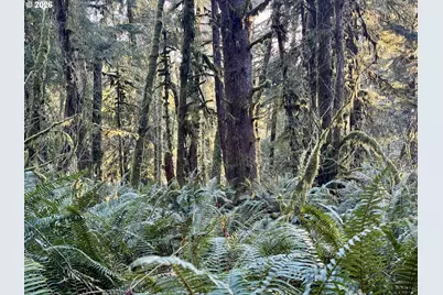 700 Sutton Creek Rd, Tillamook, OR 97141 - Photo 43