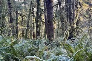 700 Sutton Creek Rd, Tillamook, OR 97141 - Photo 43