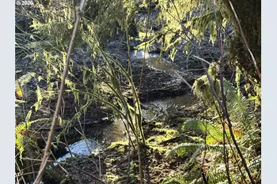 700 Sutton Creek Rd, Tillamook, OR 97141 - Photo 45